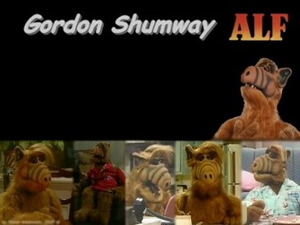 Alf Gordon Wallpaper Jpg