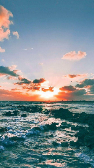 Summer Aesthetic Wallpaper Mobile HD