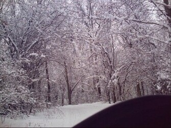 Snow Storm Full HD Wallpaper Window Top Rated