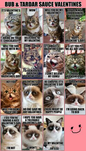 Grumpy Cat Valentine Image Thecelebritypix