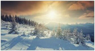 Warm Winter Sunrise Wallpaper