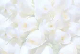 Pics Photos Wedding Background Design