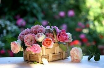 HD Flowers Basket Wallpaper Bsnscb