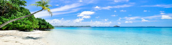 Insights Summer Peak Season For Travelling Abroad Sos International