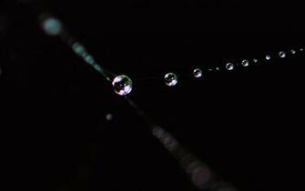 Tears Wallpaper