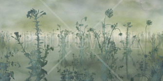 Wild Flowers Spring Green Popular Wall Mural Photowall