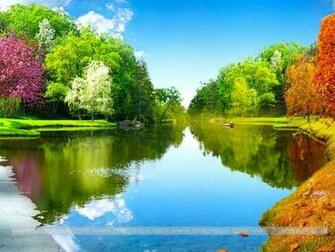 Wallpaper Amazing Beautiful