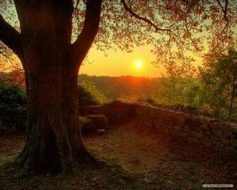 Nature Wallpaper HD Landscape