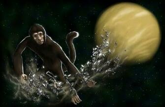 Chinese Zodiac Element Of Metal Monkey By Verulence
