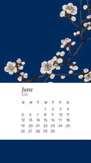Navy Floral Wallpaper Image