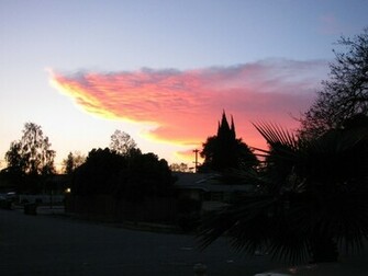 Img San Jose Ca Home Of The Wallpaper Nature