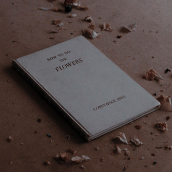 Dark Book Aesthetic Wallpaper