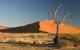 In The Desert Wallpaper And Image Pictures Photos
