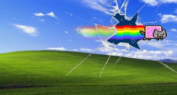 Nyan Cat Talking And Having Fun Wallpaper