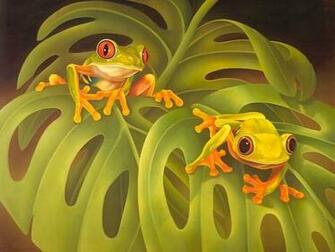 Frog Screensaver Screensavers