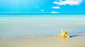 Summer Beach Wallpaper