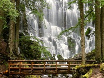 Monkey Waterfall Wallpaper HD