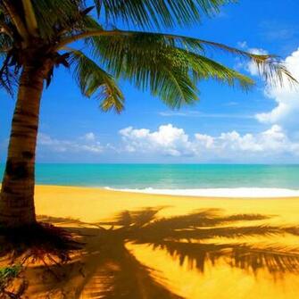 Posted By Look At
