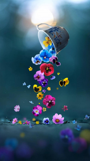 Flower Phone Wallpaper