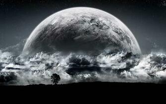 Crazy HD Wallpaper