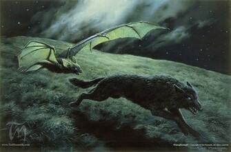 Jrr Tolkien Bats Wolves Fantasy Wallpaper Desktop