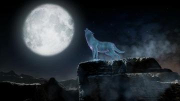 Nightwolf Wolf Full Moon Mortal Kombat 4k Wallpaper