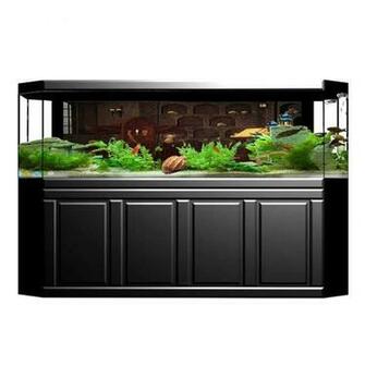 Amazon Uhoo2018 Fish Tank Background Party Decorations Wild