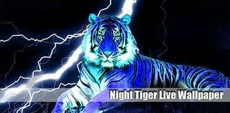 Night Tiger Live Wallpaper