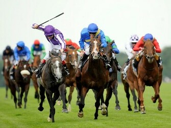 Top Amazing And Dashing Horse Racing Wallpaper In HD HDhut