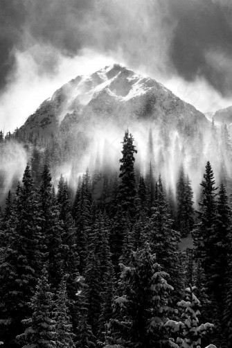 Black And White Prints Wallpaper