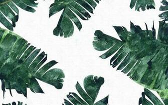 Refresh Wallpaper Collection