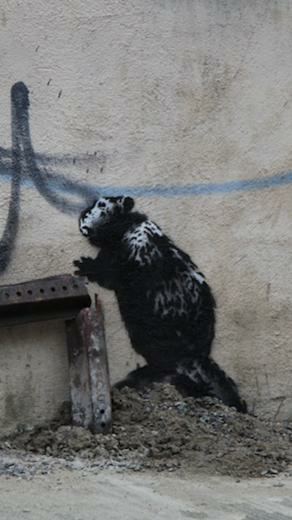 Banksy Graffiti New York City iPhone 5s Wallpaper