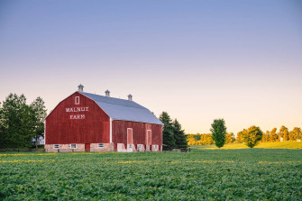 Farmhouse With Walnut Crops O8e9m41t1j4rgfxl Wallpaper