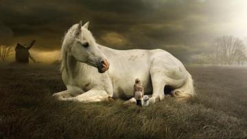 Horse Fantasy 5k Wallpaper White Laying Down
