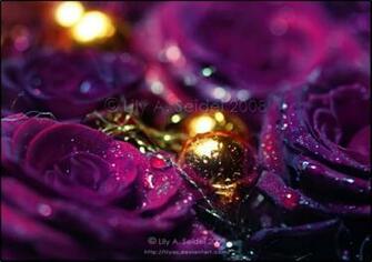Purple And Gold Wallpaper