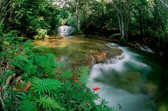 Green River Nature Wallpaper Background