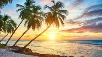 Tropical Background Full HD Wall
