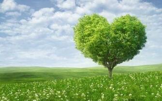 Nature Heart Desktop Pc And Mac Wallpaper