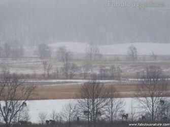 Nature Pictures Winter Cades Cove Great Smoky Mountains National