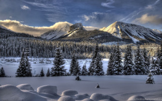 Wallpaper Snow Winter Trees Ultra HD 4k