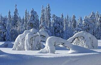 Beautiful Christmas And Winter Wallpaper For Your Desktop Noupe