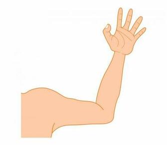 Arm Clipart Transparent Background
