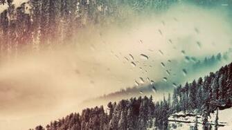Winter Scenery Desktop Wallpaper High Definition