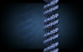 Dna Wallpaper B X By