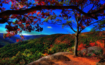 Beautiful Nature Scenery Wallpaper