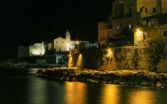 Image Italy Vieste Coast Night Street Lights Cities Houses