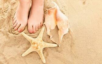 Beach Sand Feet Shells Starfish Seashells Toes Wallpaper