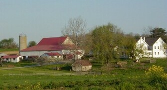 Rosanne Dorsey Farm Background