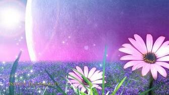 Relaxing Wallpaper Flower Field