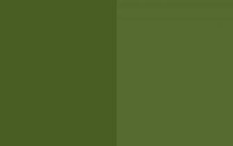 Resolution Dark Moss Green And Olive Solid